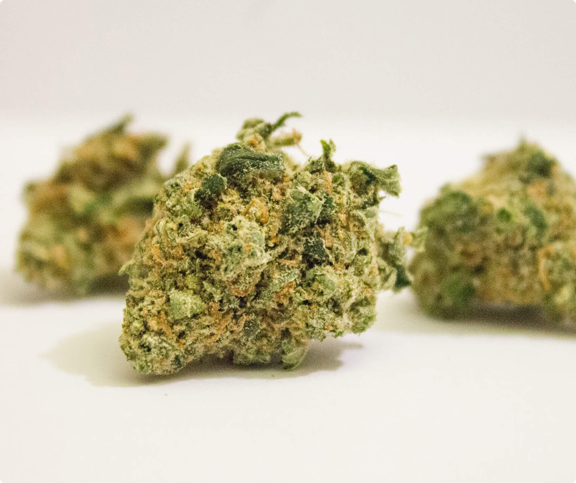 Tangerine Dream - Image 2