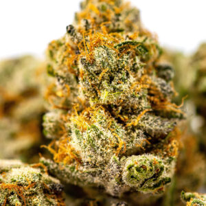 Chem Dawg