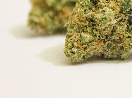 Tangerine Dream - Image 4