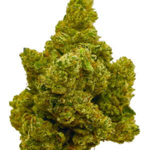 Exclusive Gas Monkey#3