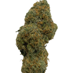 Exclusive Tea Time Z x RS11